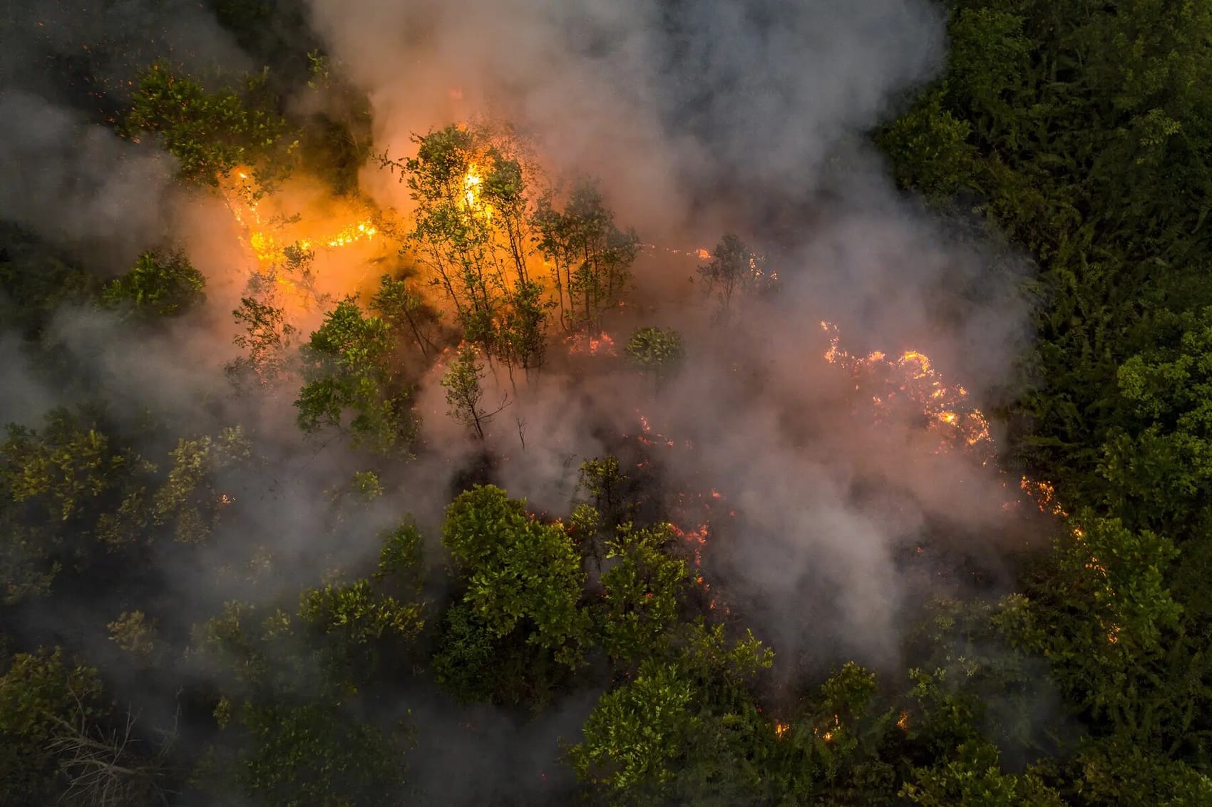 Aerial view of fire and smoke spreading through an Indonesian peat forest