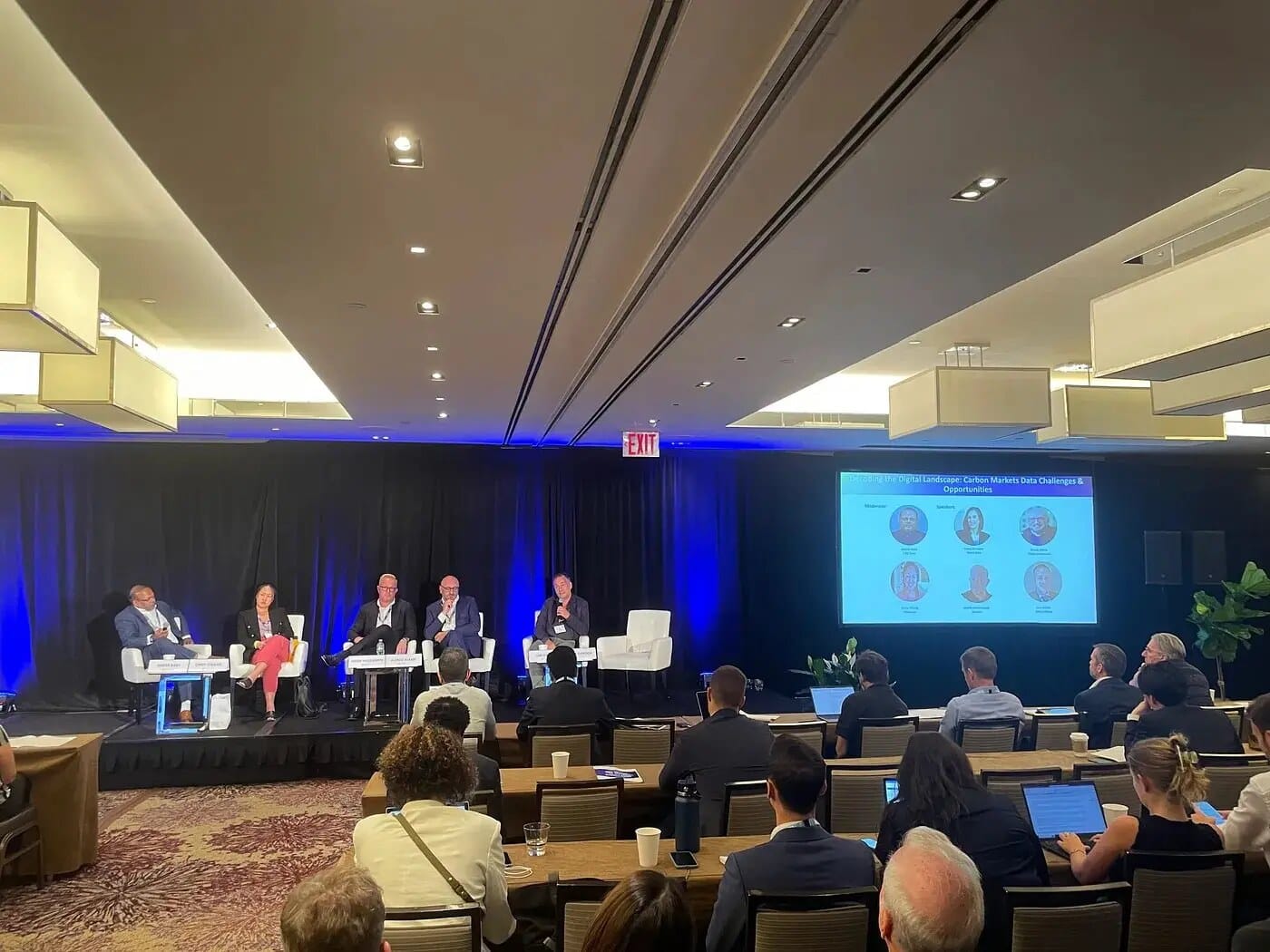 Carbon-market specialists speaking at an international climate conference