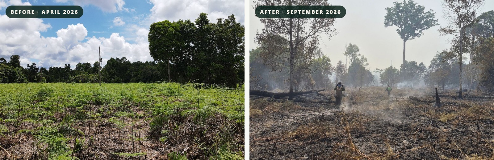 The same West Kalimantan landscape photographed in April and again in September 2026, green forest before and burnt, hazy land after.
