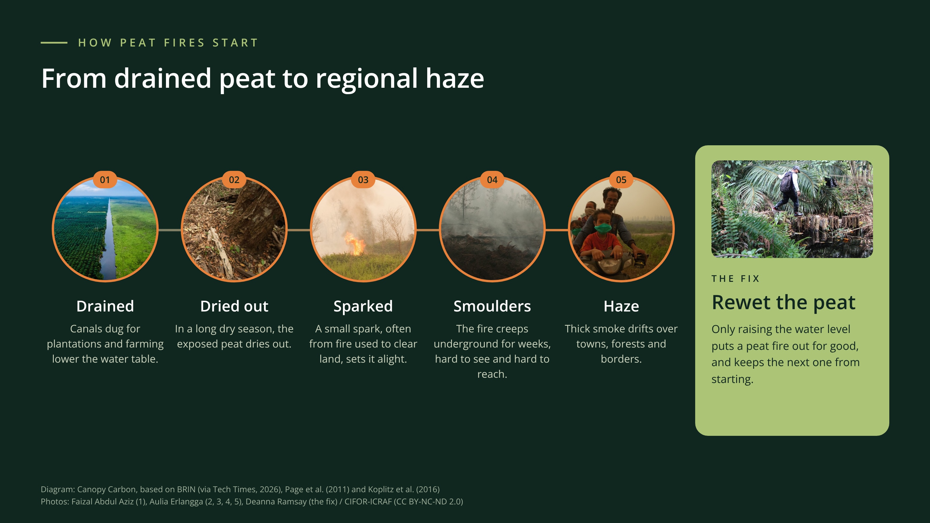 Diagram showing how drained peat dries out, ignites, smoulders underground and sends haze across the region.