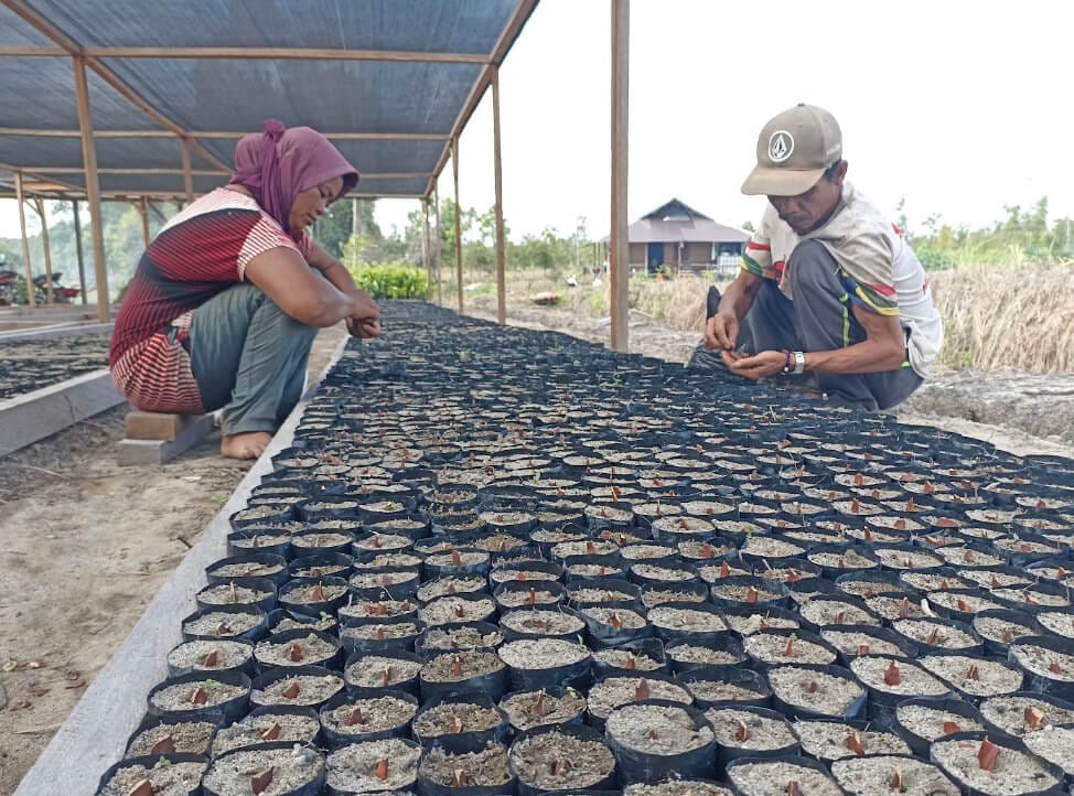 CK-02 project landscape in Barito Timur, Central Kalimantan