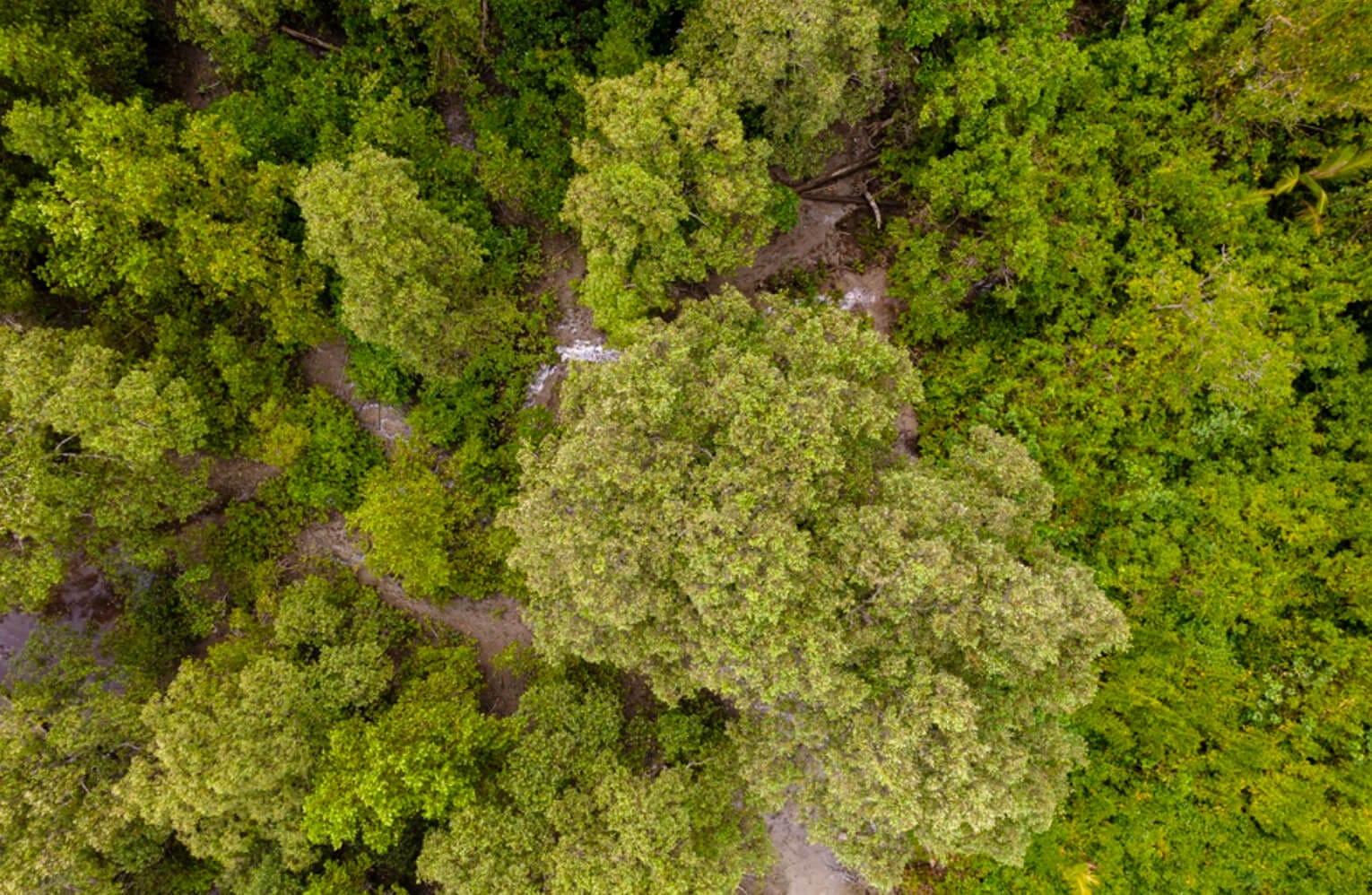CK-03 project landscape in Lamandau, Central Kalimantan