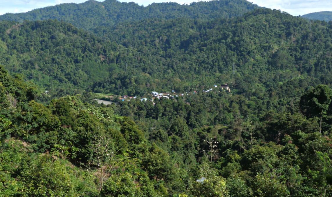 SP-01 project landscape in Asmat, South Papua