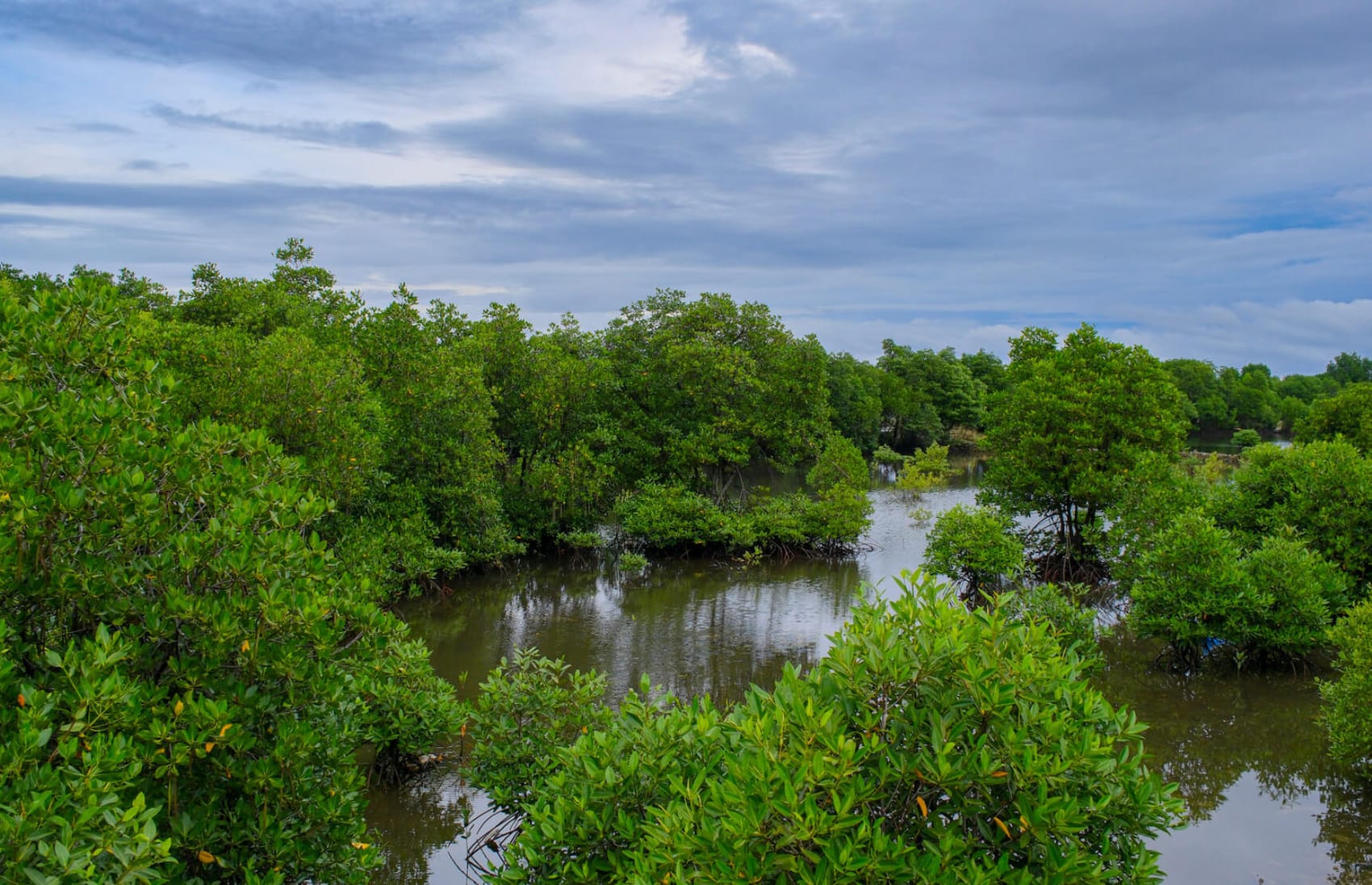 WP-02 project landscape in Sorong Selatan, West Papua