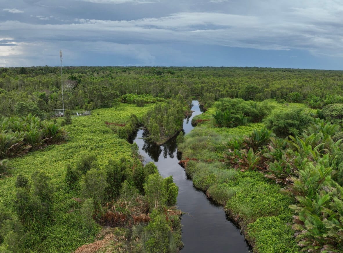 WP-03 project landscape in Teluk Bintuni, West Papua