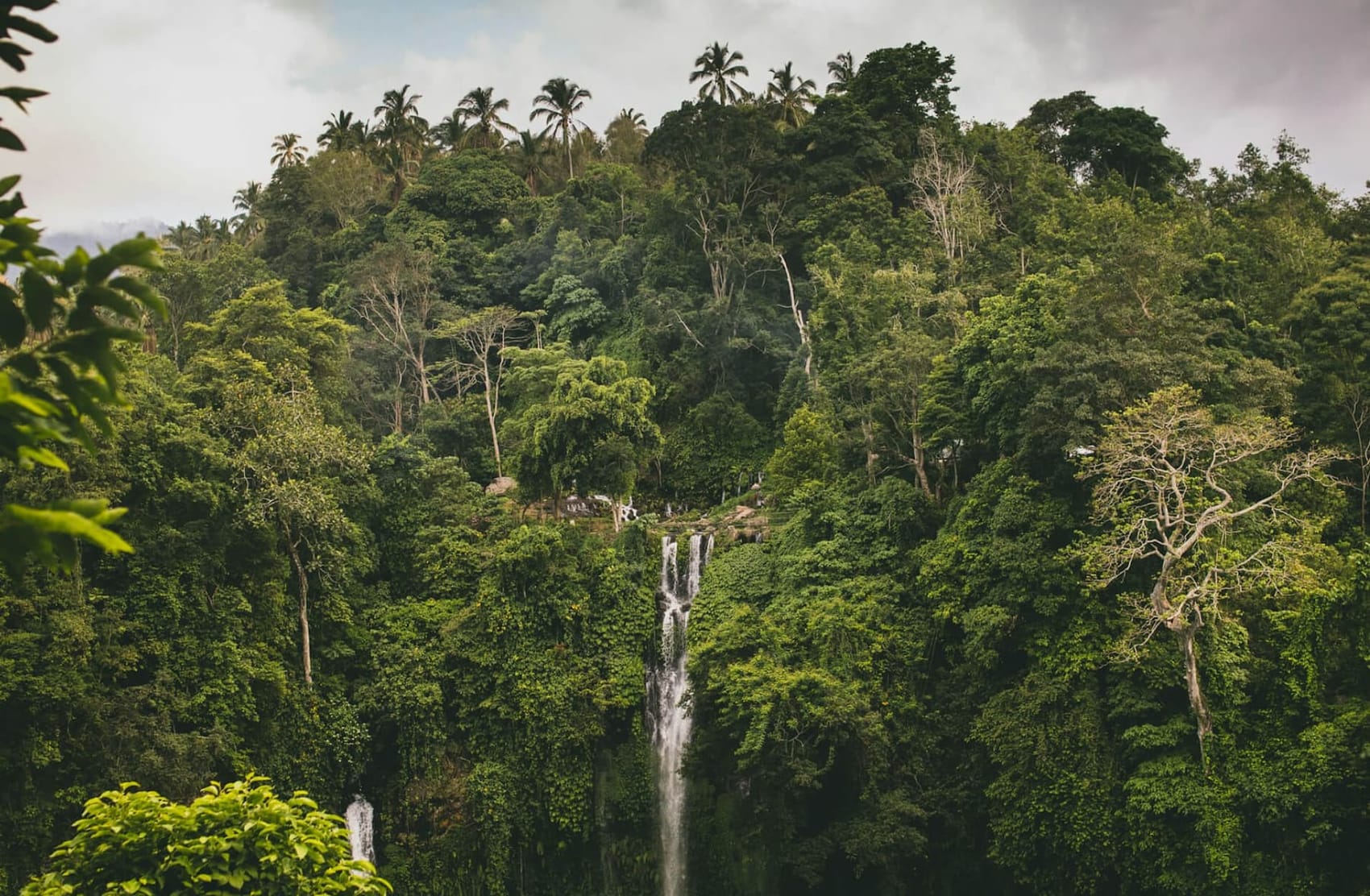 A tropical waterfall surrounded by dense forest