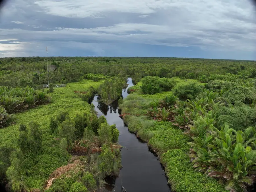Field team crossing a tropical landscape