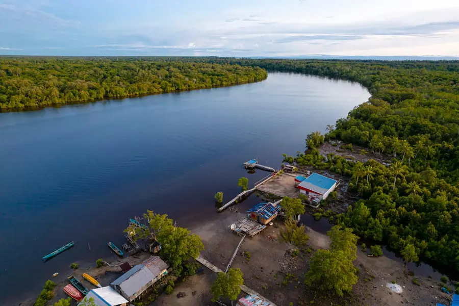 River running through mangrove forest