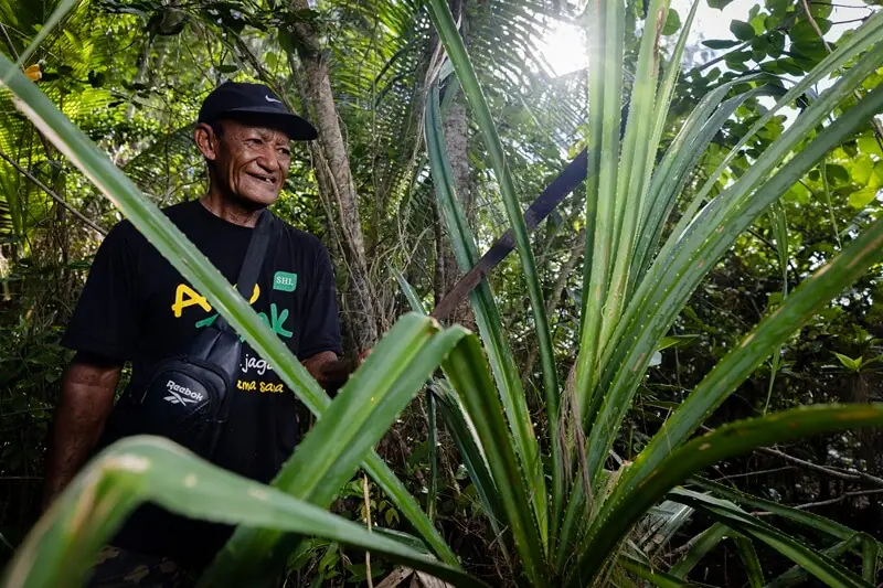 Field researcher among tropical vegetation