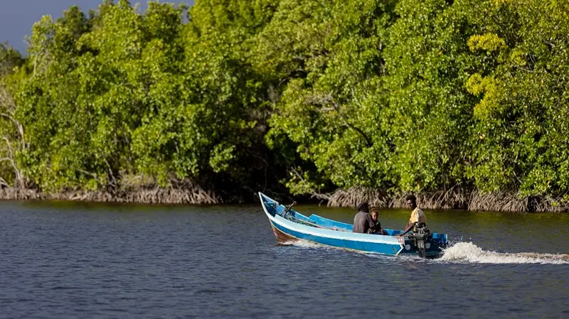 Boat travelling through a coastal landscape