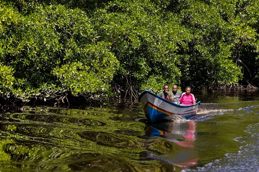 Local boat on a forest river