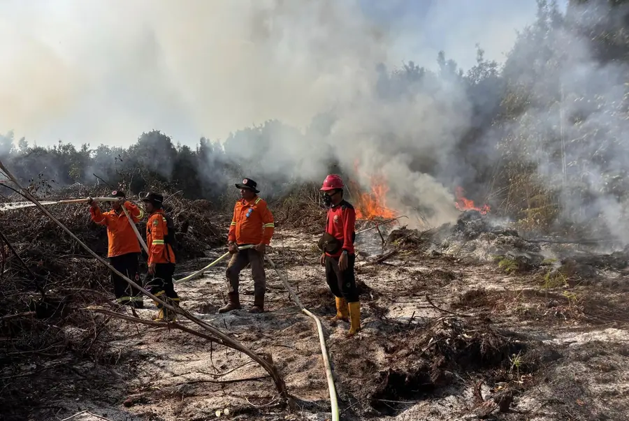 Local fire response team in the field