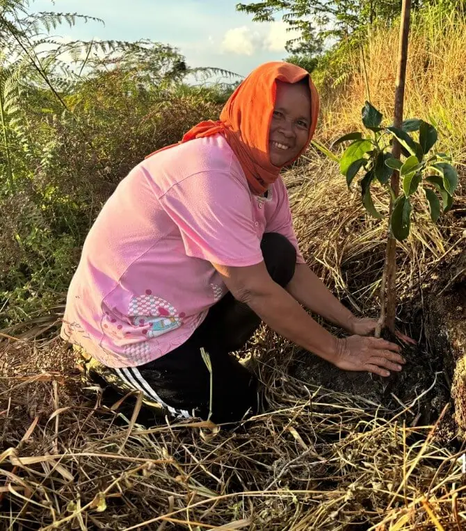 Reforestation work in a rural landscape