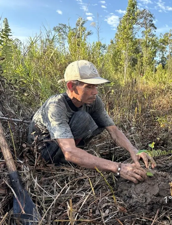 Community member tending a seedling nursery
